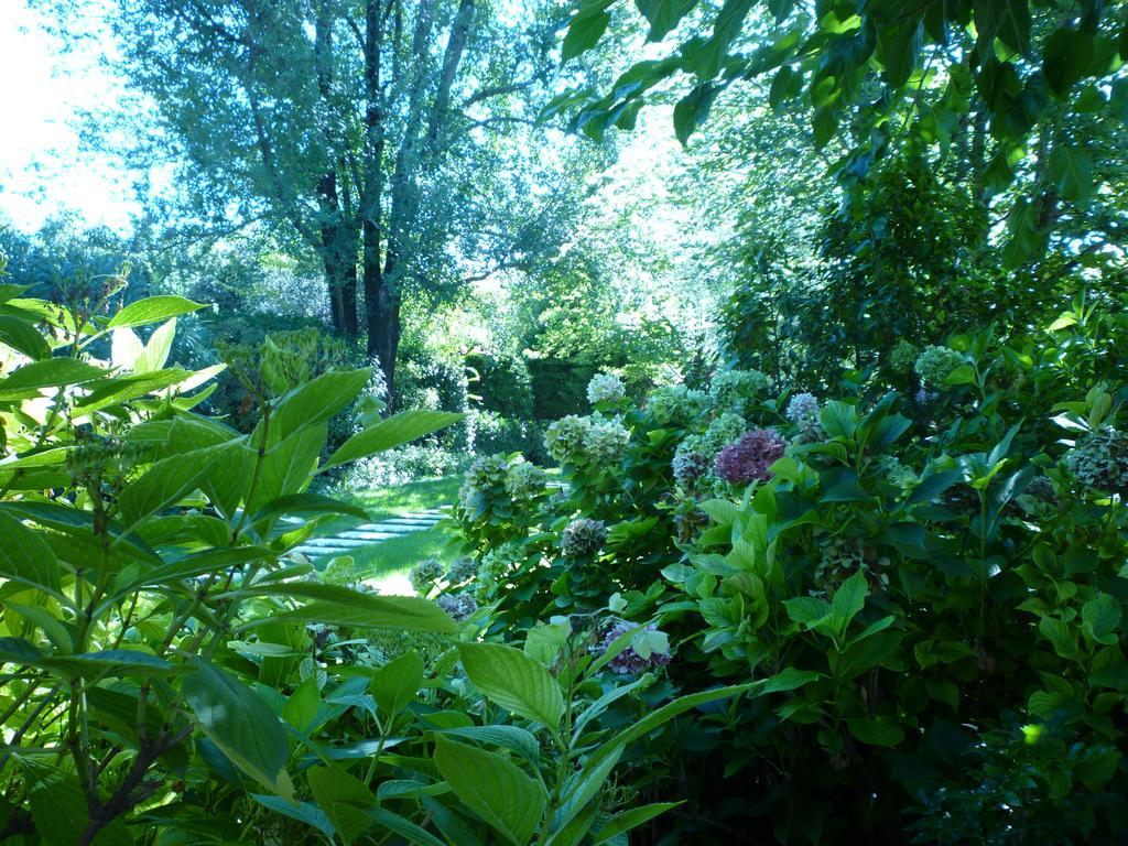 B&B Villa Dei Pini Domegliara Extérieur photo