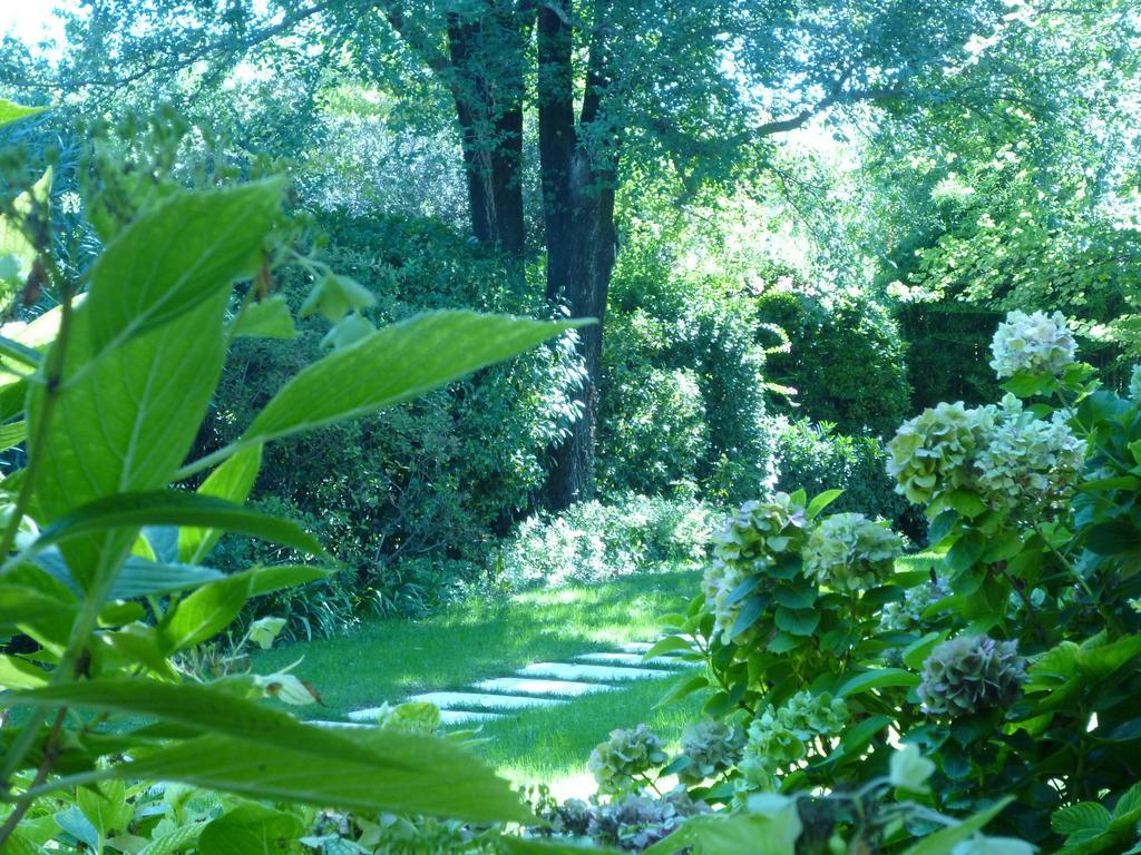 B&B Villa Dei Pini Domegliara Extérieur photo